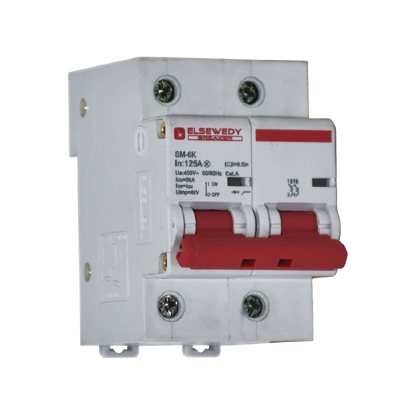Elsewedy Miniature Circuit Breakers 2 Pole 100A